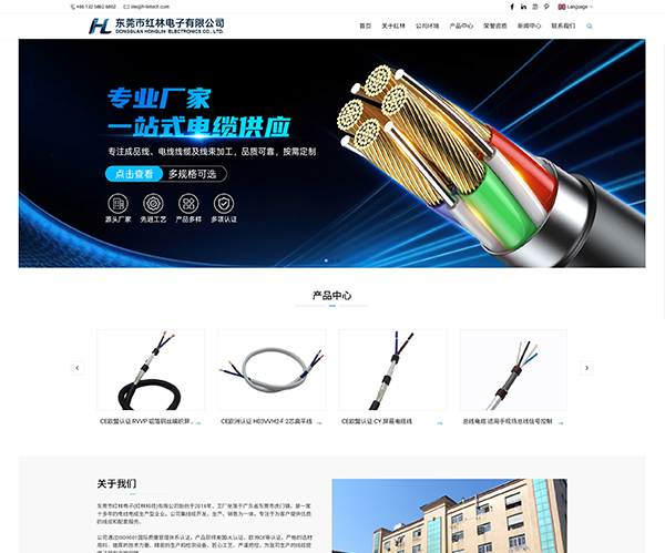 东莞市红林电子有限公司-网站开发案例