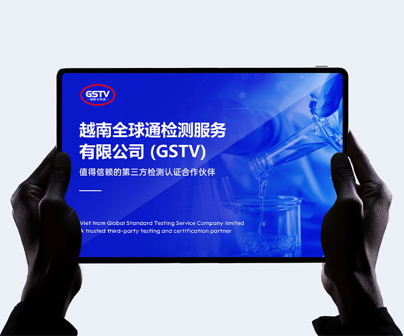 越南全球通有限公司-中英文PPT设计案例